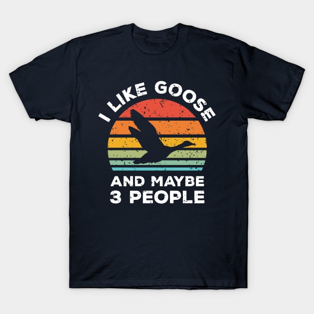 I Like Goose and Maybe 3 People, Retro Vintage Sunset with Style Old Grainy Grunge Texture T-Shirt by Ardhsells